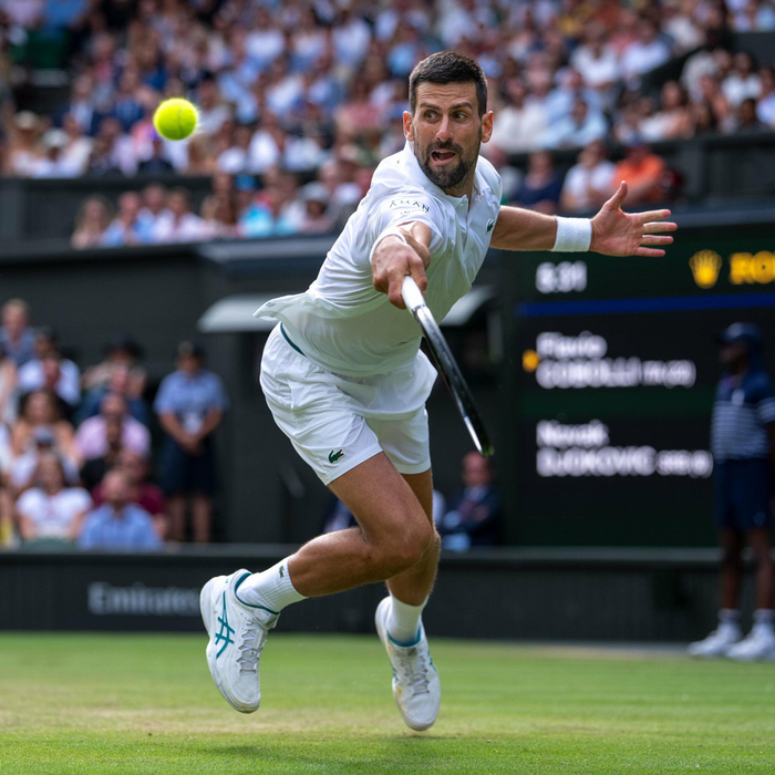 戴维斯杯逆转ATP总决赛，德约科维奇点燃赛场