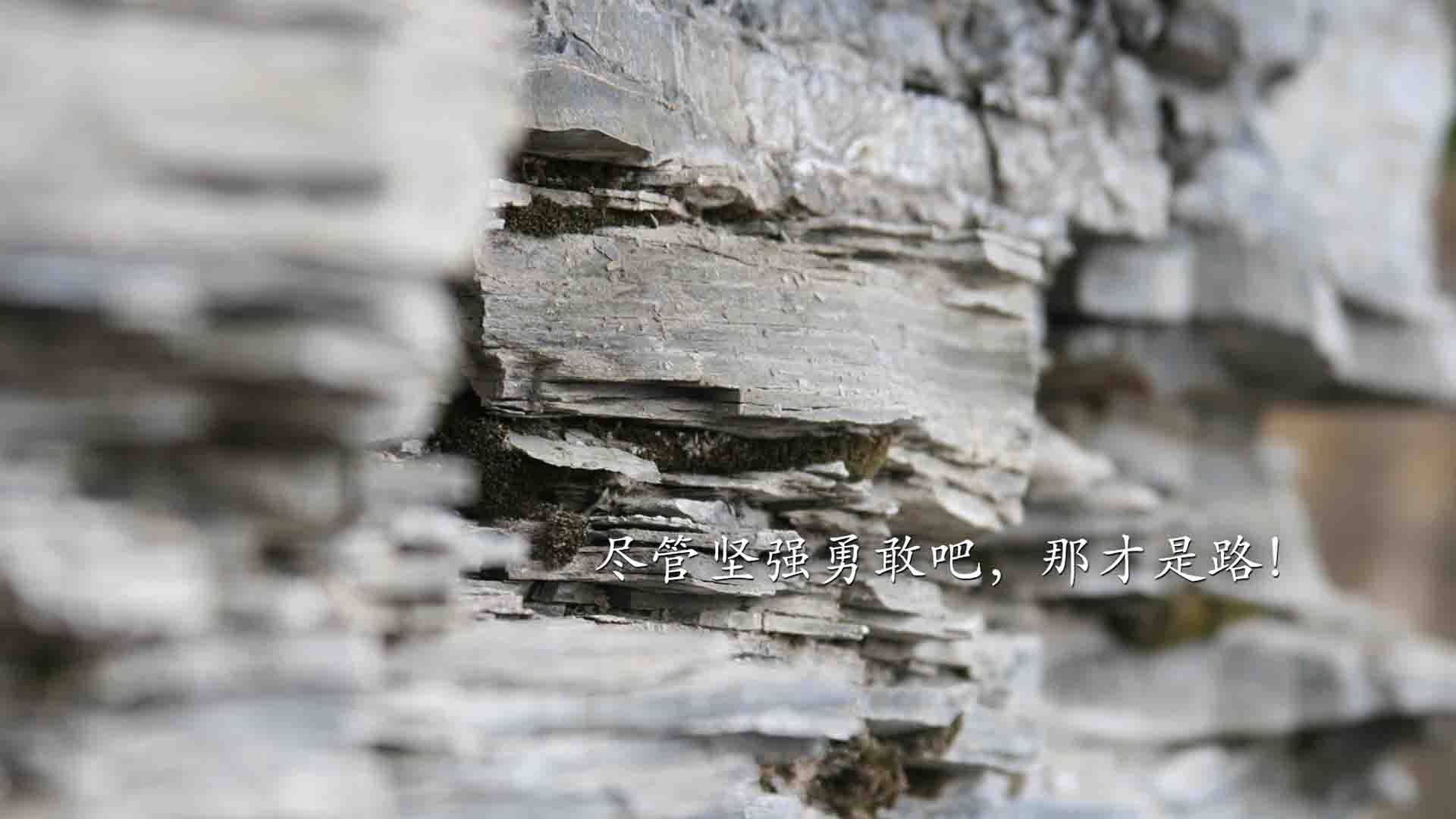 澳网，德约科维奇王冠上唯一不可撼动的明珠，为何墨尔本是他真正的试金石？