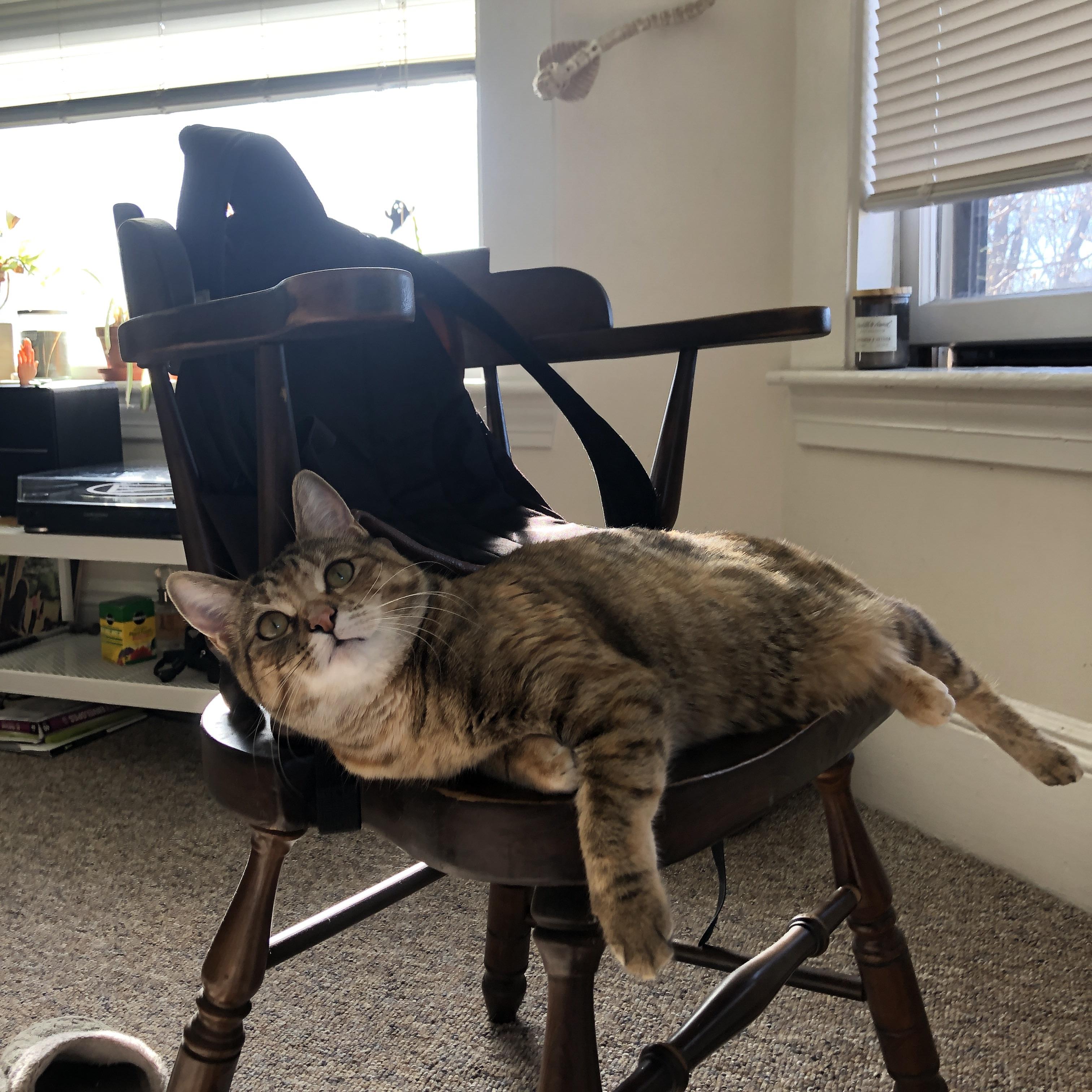 逆光中的引信，当瑞典战车碾压而过，张继科点燃了寂静的火种