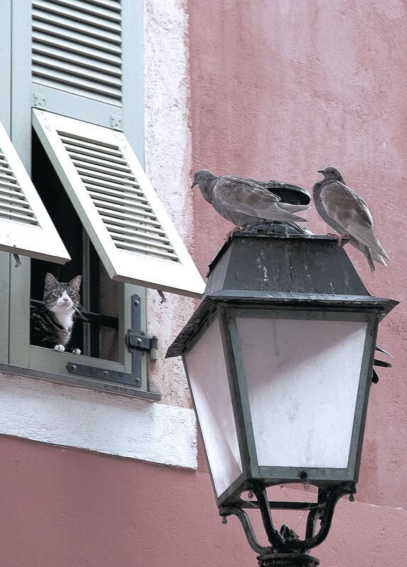 意甲焦点战中的魔术封锁，足球场上的窒息防守，如何演绎篮球智慧？