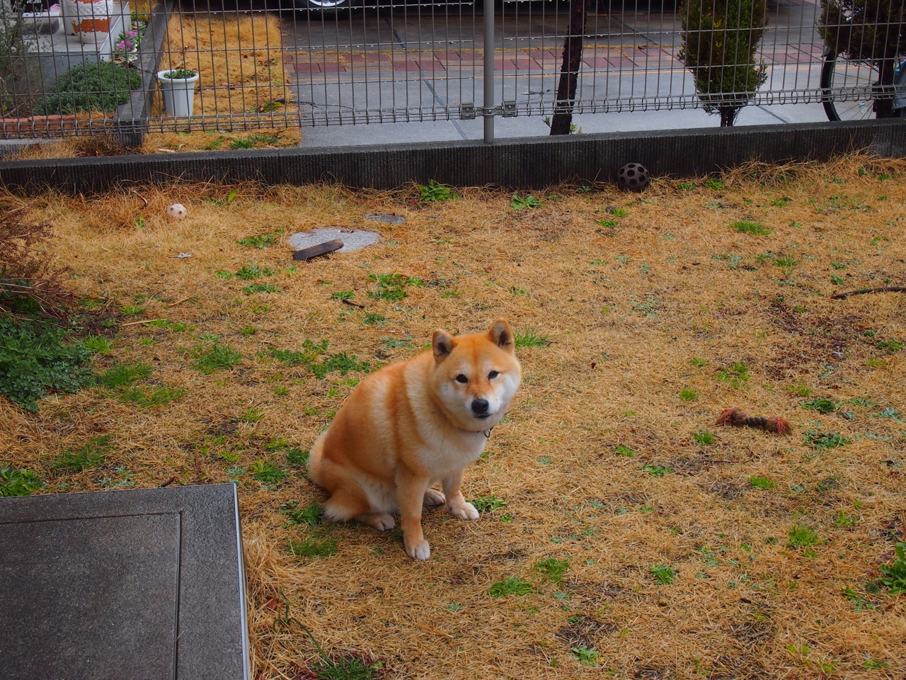 意甲焦点战中的魔术封锁，足球场上的窒息防守，如何演绎篮球智慧？