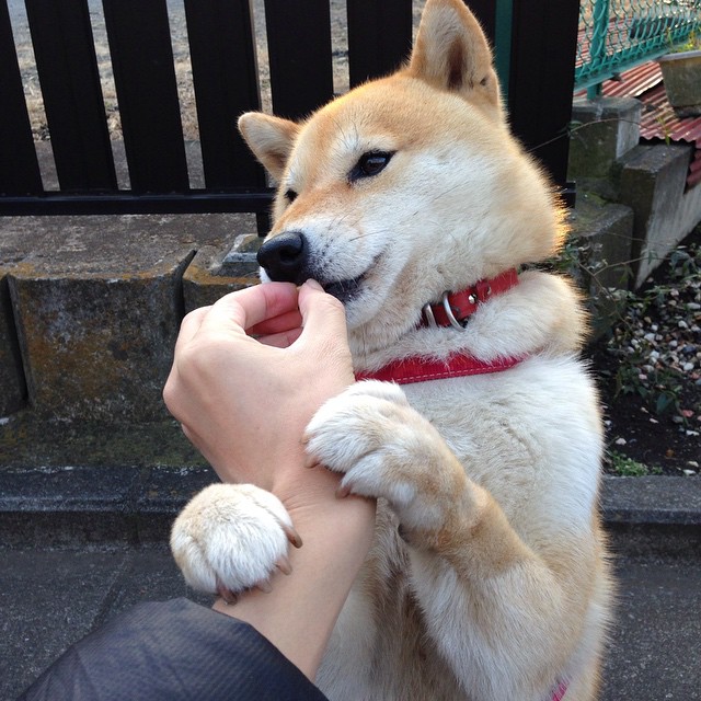 绞杀战！虚拟绿茵场上的唯一对决，当突尼斯军团遭遇马赛飓风，加维如何用防守艺术颠覆攻防法则