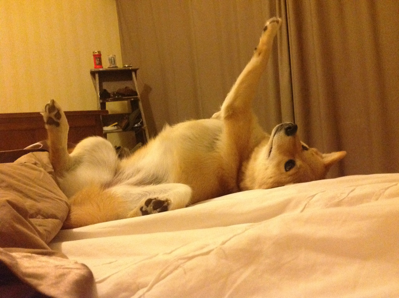 绝境淬炼英雄，莱万一锤定音，苏格兰炼狱防线险胜墨西哥