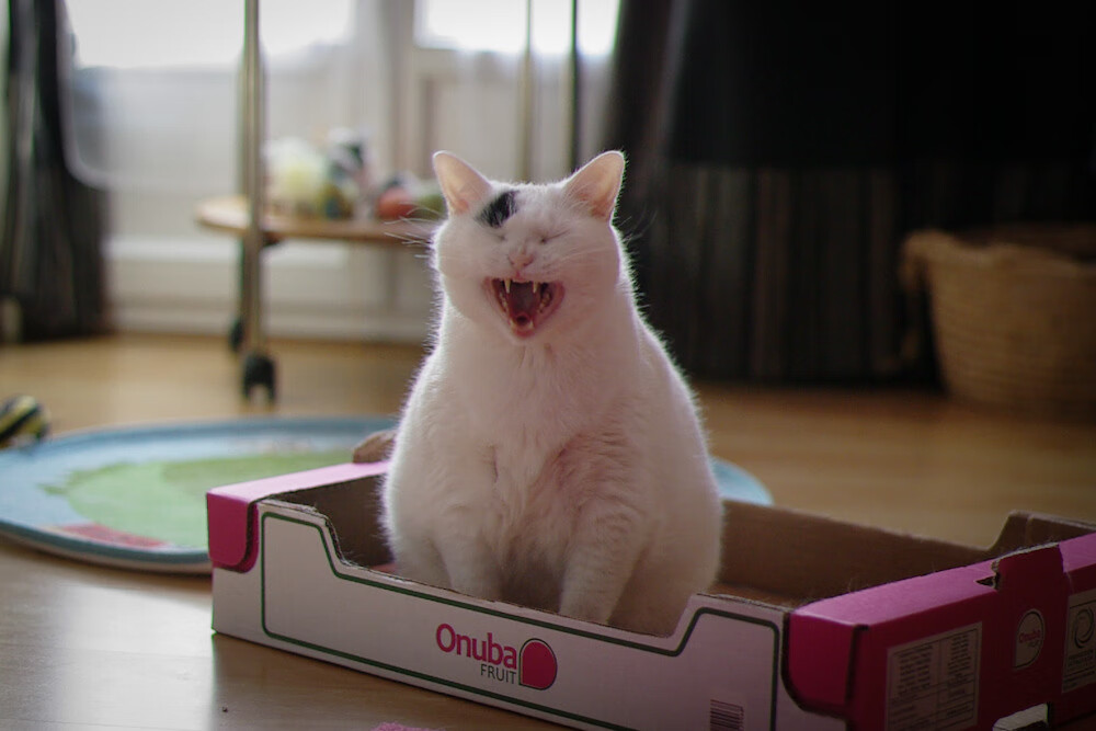 跨洋鏖战!克利夫兰骑士险胜深圳,贝恩末节封神定乾坤