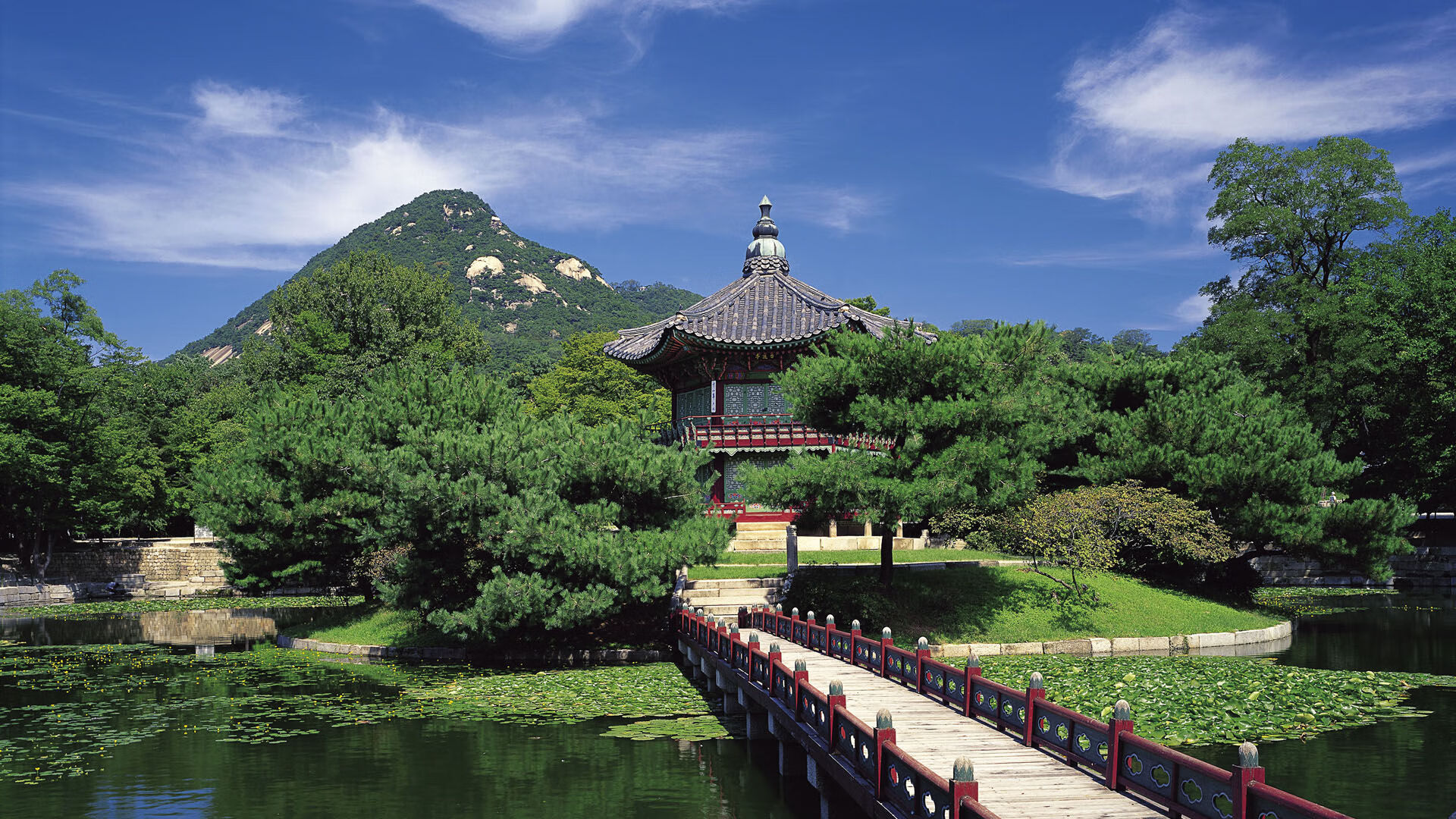 闪电战中的艺术家,戈麦斯完美演绎,洪都拉斯三球速胜卡塔尔