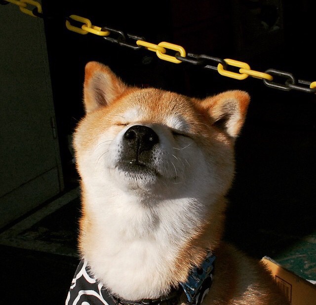 2026世界杯焦点战，墨西哥压哨绝杀塞维利亚，足球传奇再写新篇