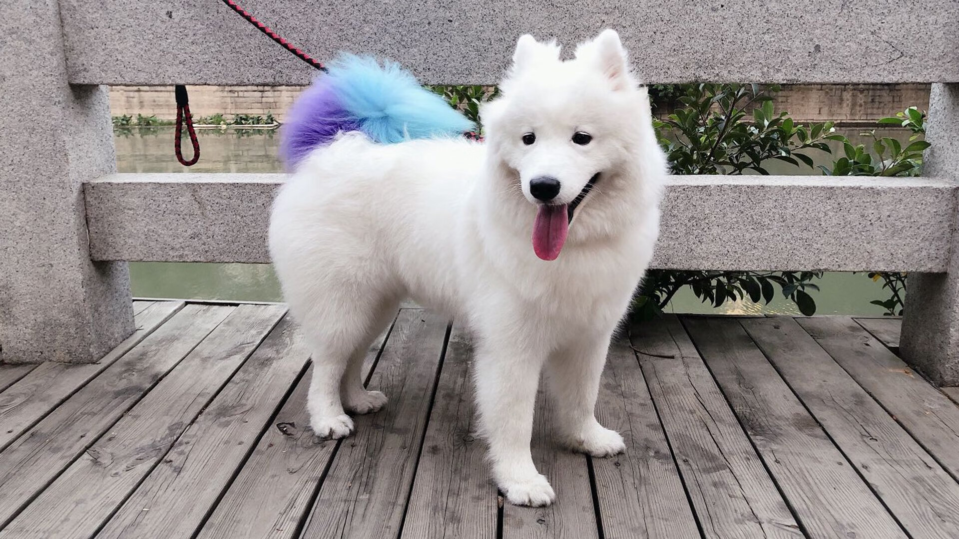 君临北岸花园,字母哥末节统治力诠释何为一波带走