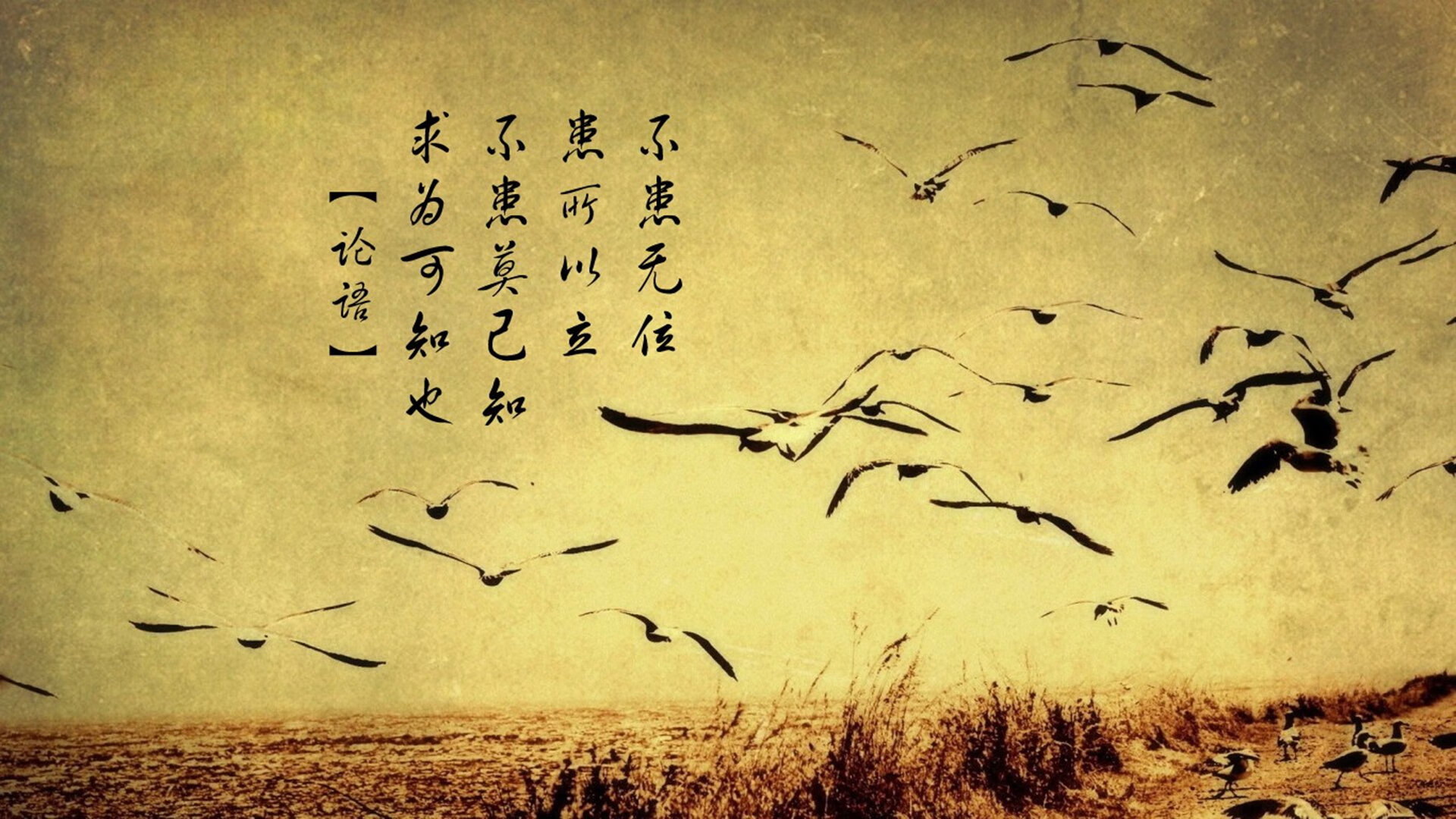 2026世界杯D组强强对话，荷兰碾压厄瓜多尔，姆巴佩闪耀全场，防守反击奏效